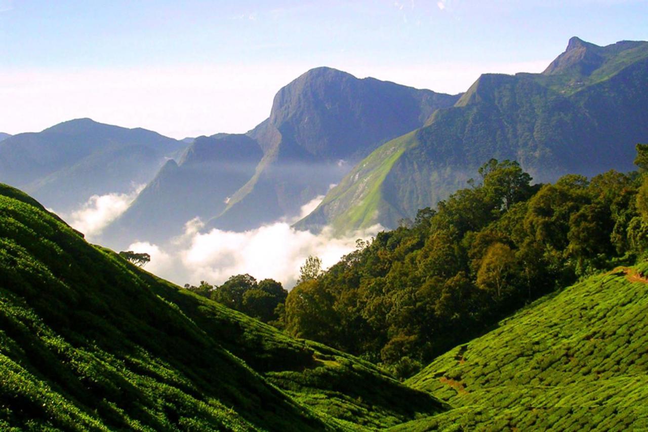 Mistica Munnar Διαμέρισμα Anachal Εξωτερικό φωτογραφία