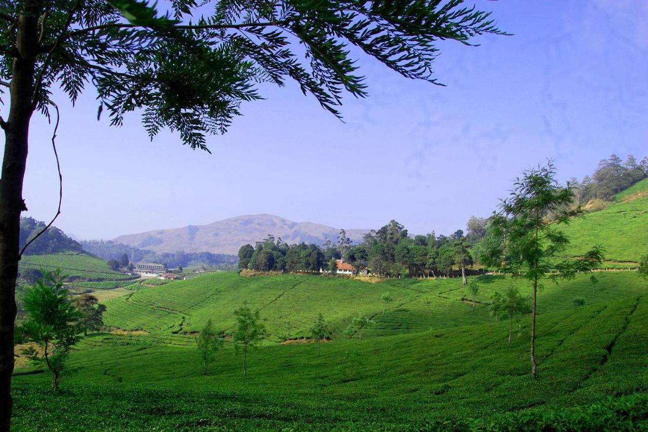 Mistica Munnar Διαμέρισμα Anachal Εξωτερικό φωτογραφία