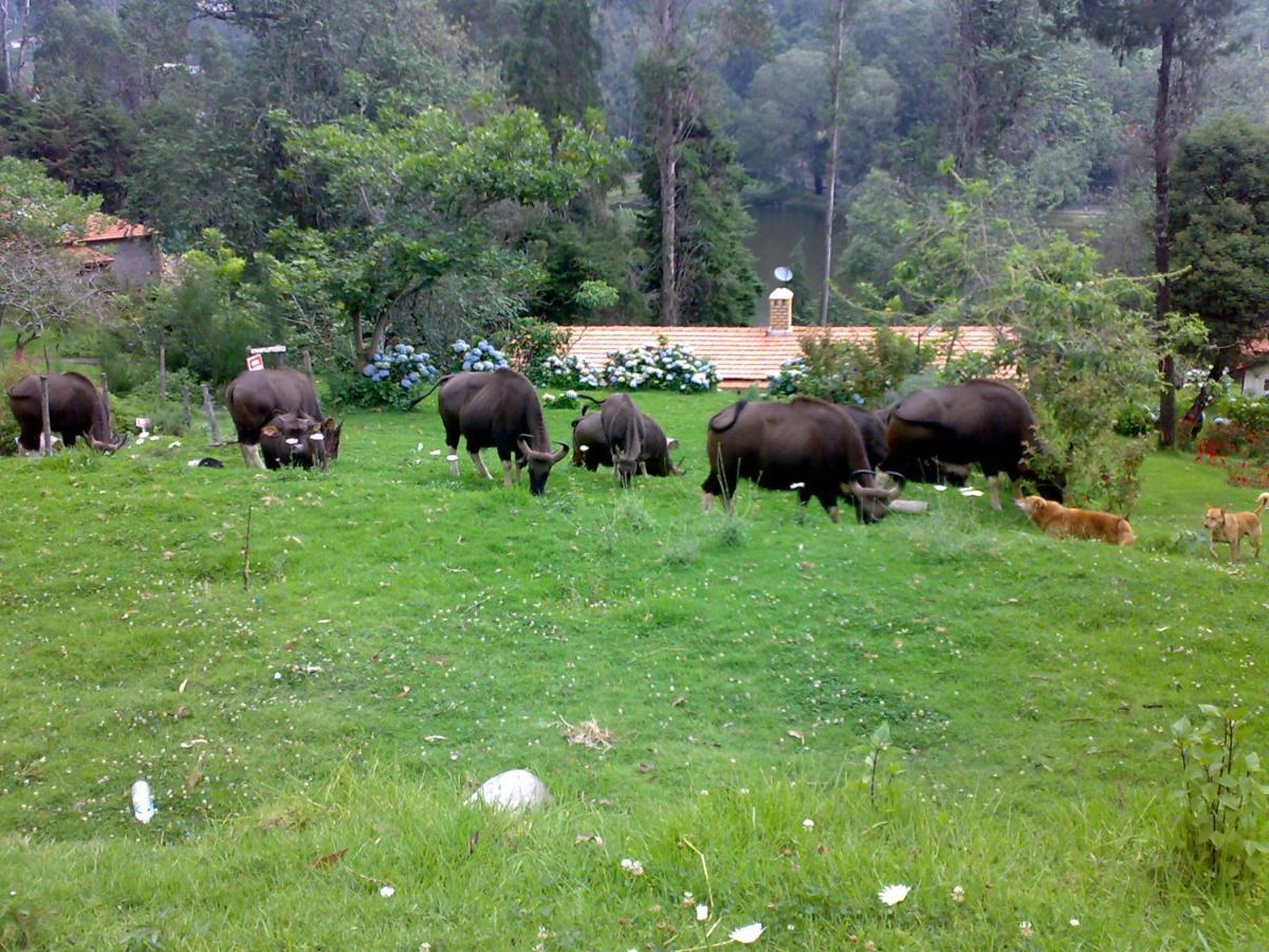 Mistica Munnar Διαμέρισμα Anachal Εξωτερικό φωτογραφία