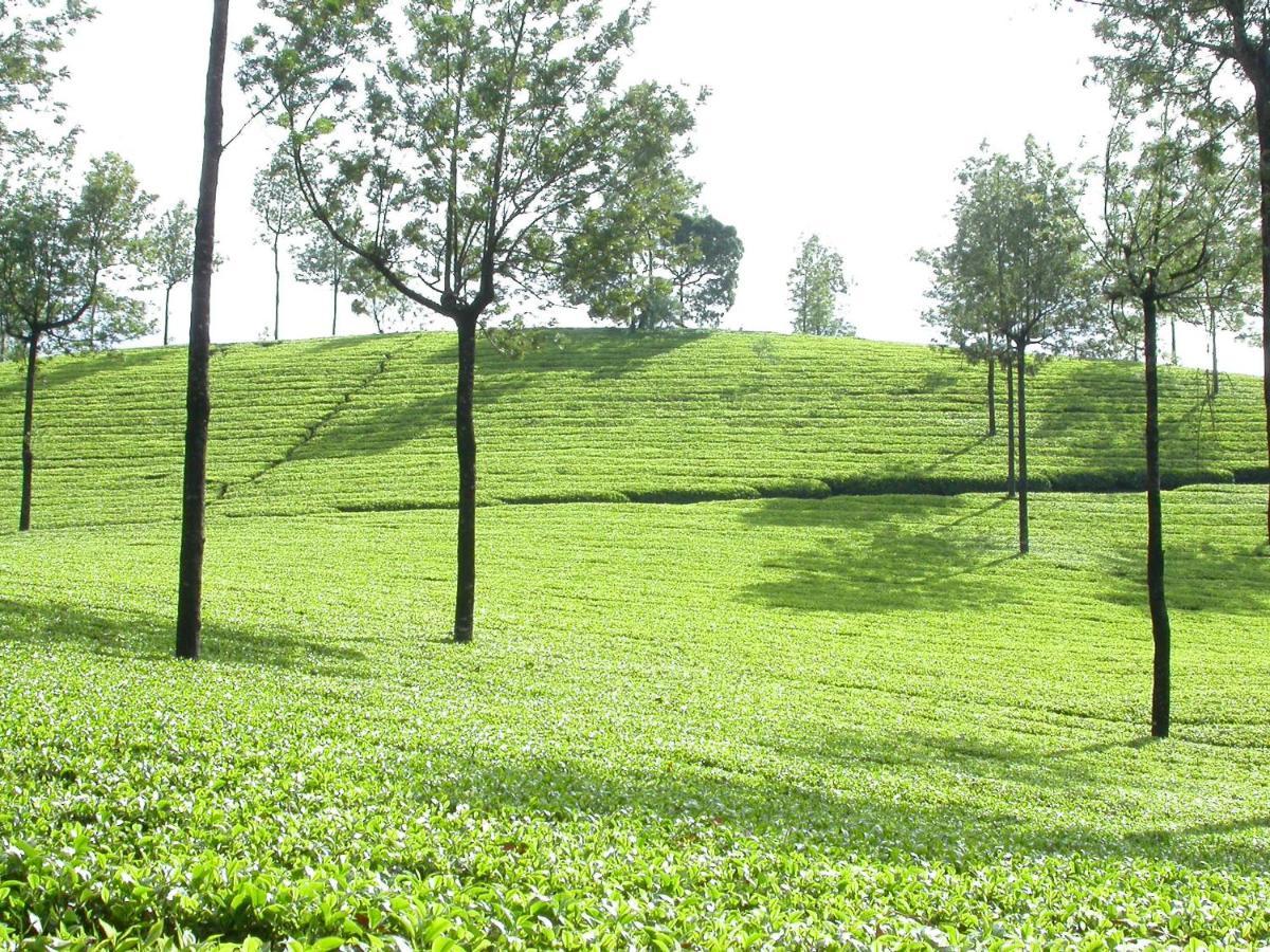 Mistica Munnar Διαμέρισμα Anachal Εξωτερικό φωτογραφία
