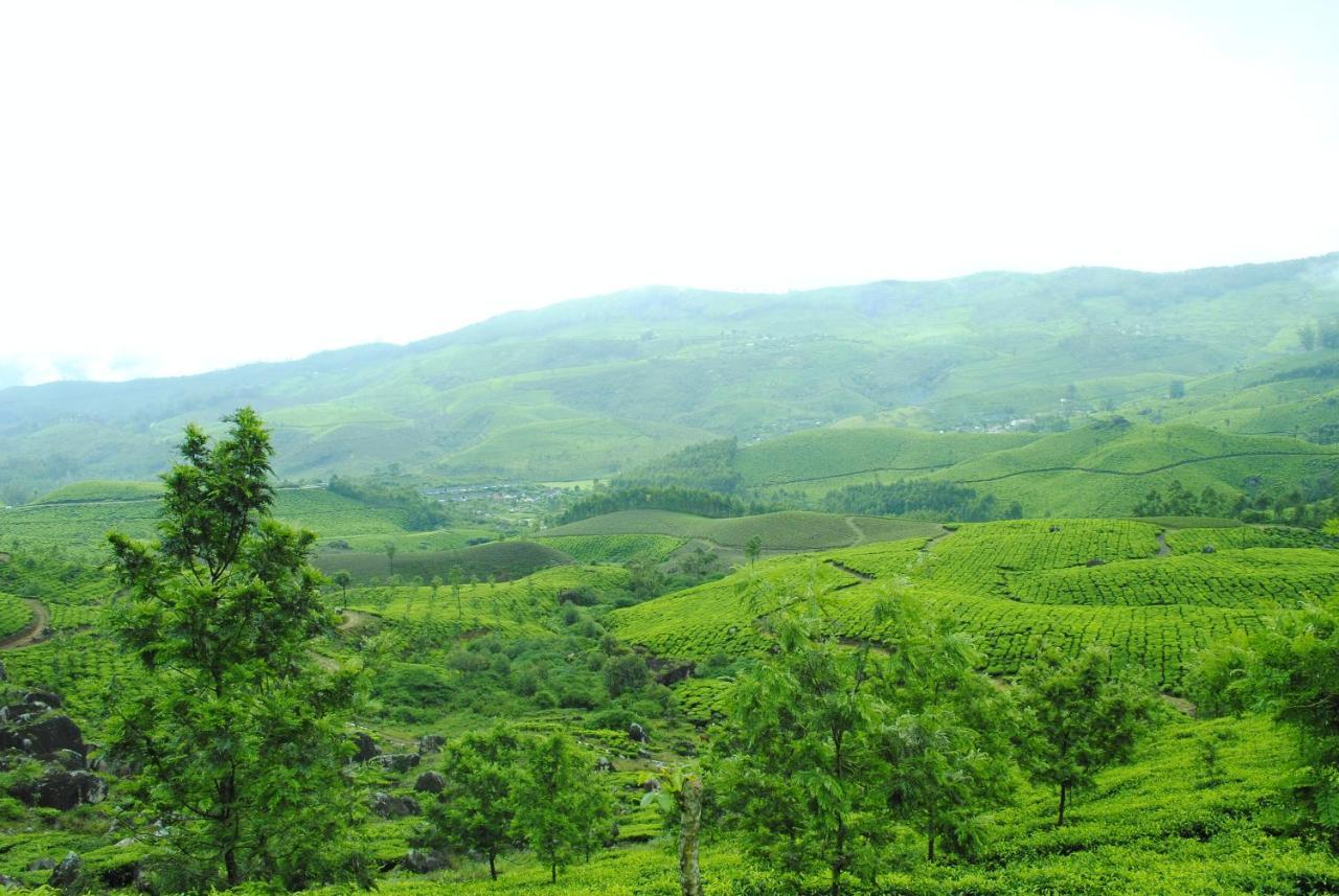 Mistica Munnar Διαμέρισμα Anachal Εξωτερικό φωτογραφία