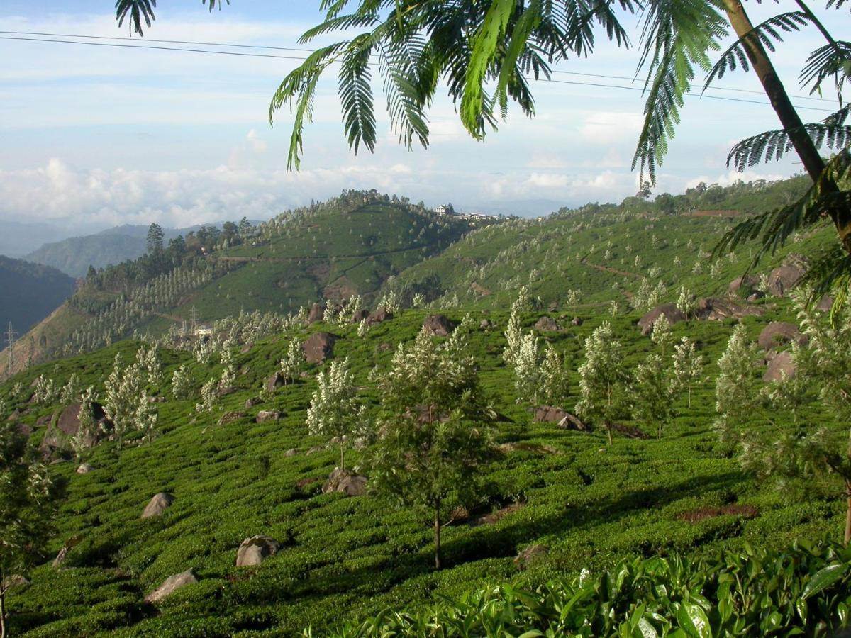 Mistica Munnar Διαμέρισμα Anachal Εξωτερικό φωτογραφία