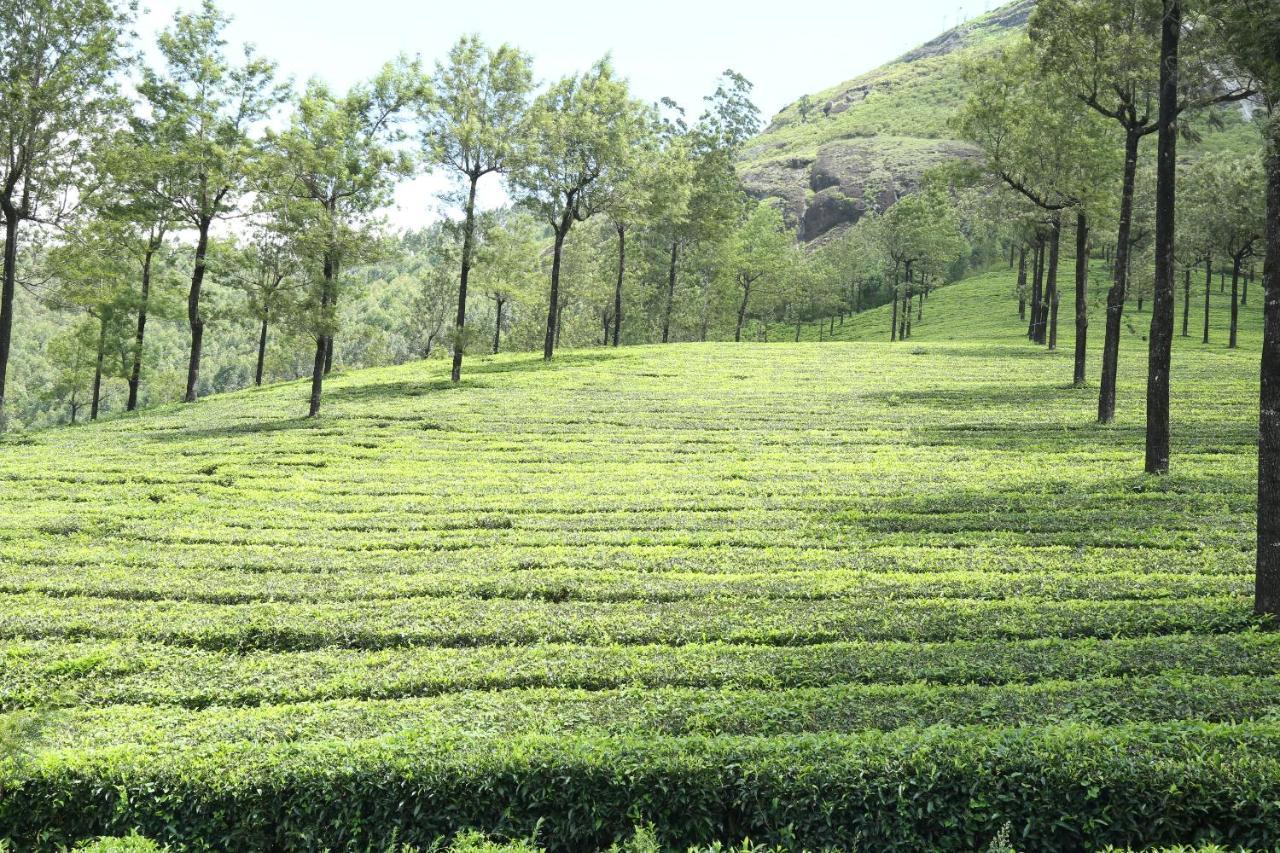 Mistica Munnar Διαμέρισμα Anachal Εξωτερικό φωτογραφία